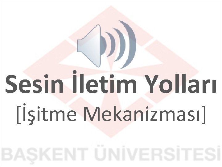 Sesin İletim Yolları [İşitme Mekanizması] 