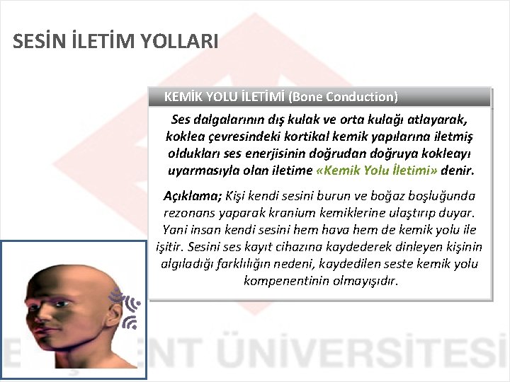 SESİN İLETİM YOLLARI KEMİK YOLU İLETİMİ (Bone Conduction) Ses dalgalarının dış kulak ve orta