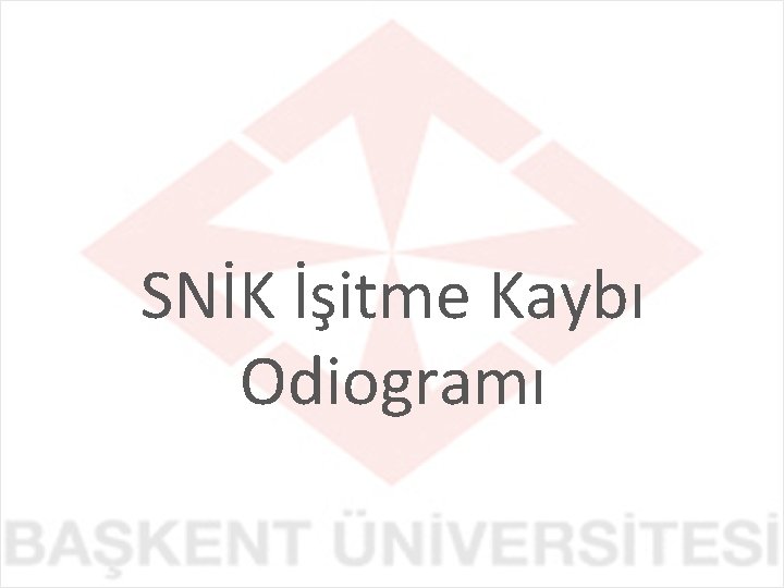 SNİK İşitme Kaybı Odiogramı 