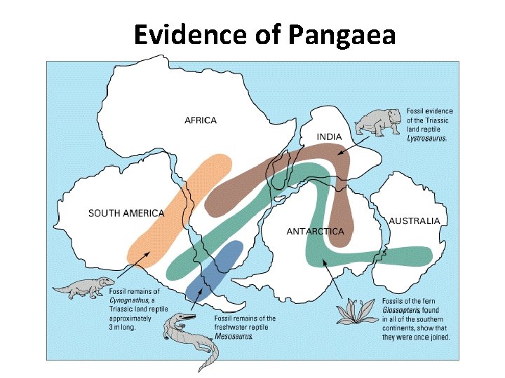 Evidence of Pangaea 