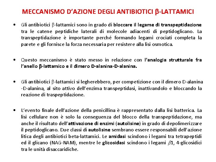 MECCANISMO D’AZIONE DEGLI ANTIBIOTICI -LATTAMICI • Gli antibiotici -lattamici sono in grado di bloccare