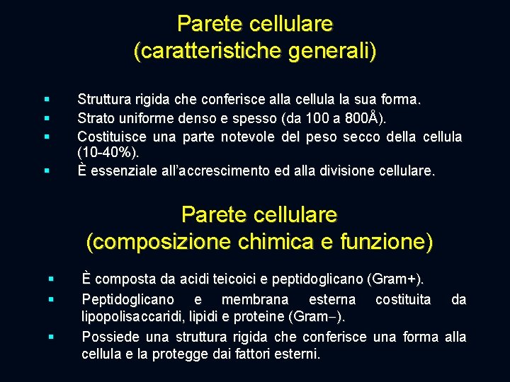 Parete cellulare (caratteristiche generali) § § Struttura rigida che conferisce alla cellula la sua