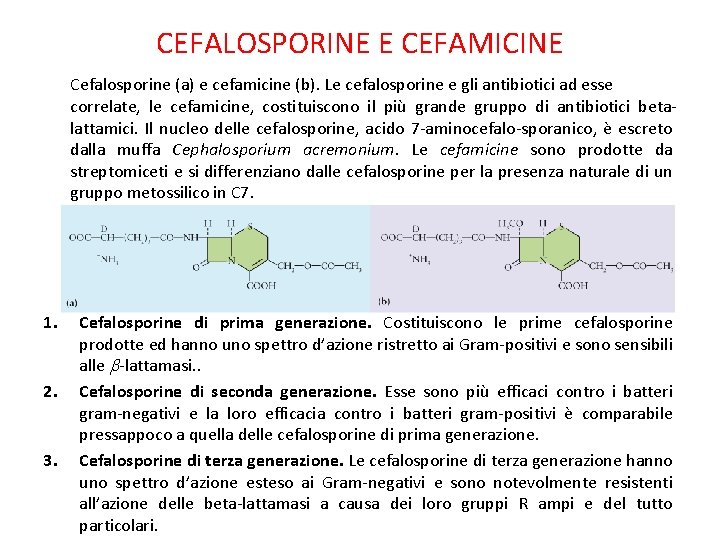 CEFALOSPORINE E CEFAMICINE Cefalosporine (a) e cefamicine (b). Le cefalosporine e gli antibiotici ad