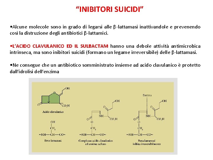 “INIBITORI SUICIDI” • Alcune molecole sono in grado di legarsi alle β-lattamasi inattivandole e