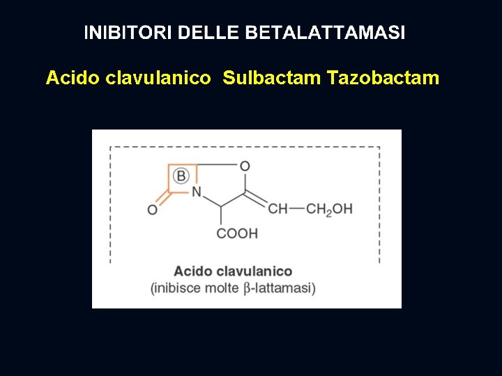 Acido clavulanico Sulbactam Tazobactam 