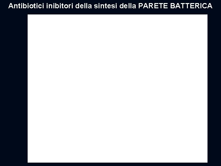 Antibiotici inibitori della sintesi della PARETE BATTERICA 