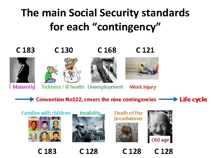 The main Social Security standards for each “contingency” C 183 Maternity C 130 C
