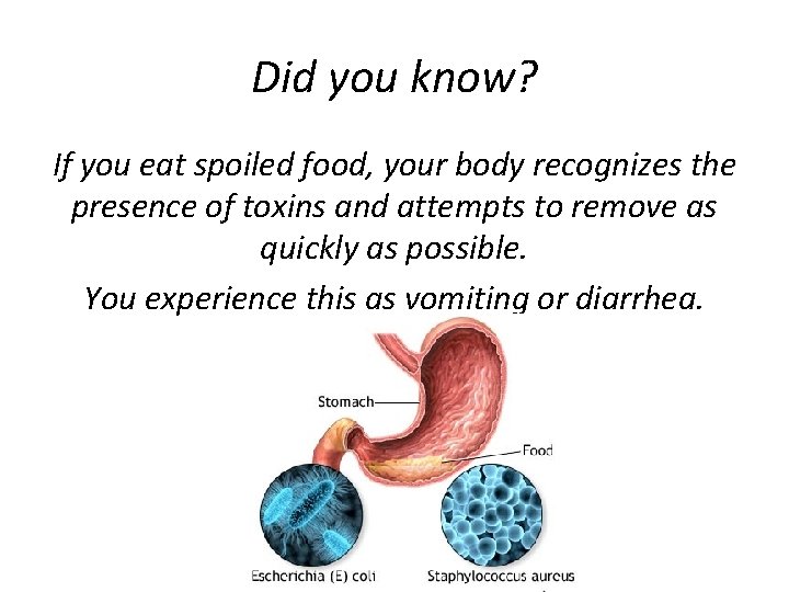 Did you know? If you eat spoiled food, your body recognizes the presence of