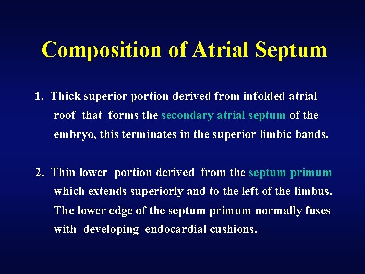 Composition of Atrial Septum 1. Thick superior portion derived from infolded atrial roof that
