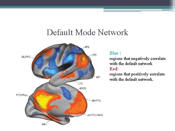 Default Mode Network Blue : regions that negatively correlate with the default network Red:
