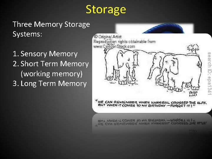 Storage Three Memory Storage Systems: 1. Sensory Memory 2. Short Term Memory (working memory)