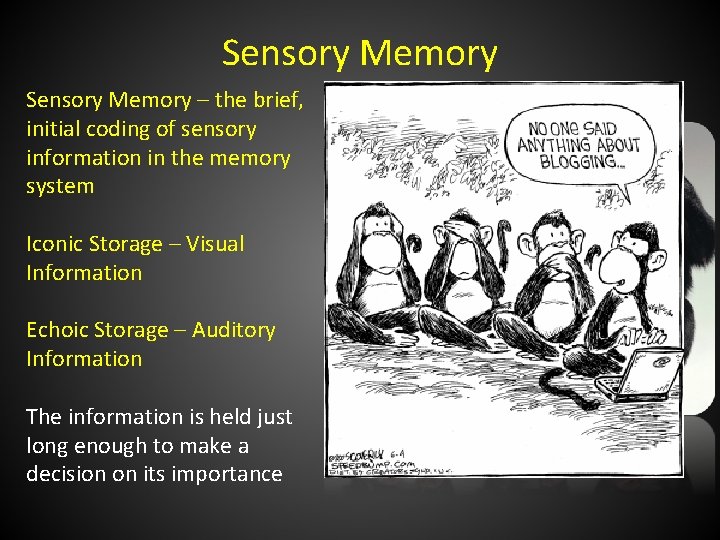 Sensory Memory – the brief, initial coding of sensory information in the memory system