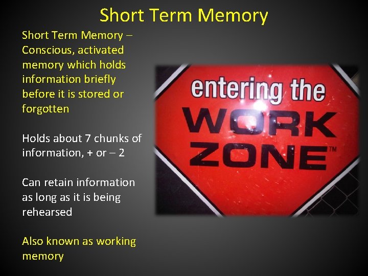 Short Term Memory – Conscious, activated memory which holds information briefly before it is
