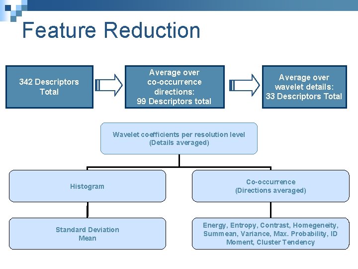 Feature Reduction Average over co-occurrence directions: 99 Descriptors total 342 Descriptors Total Average over