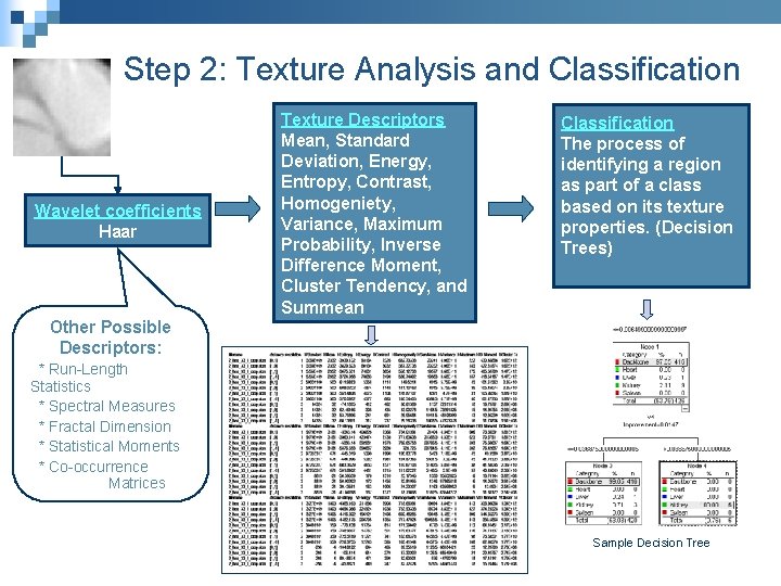Step 2: Texture Analysis and Classification Wavelet coefficients Haar Texture Descriptors Mean, Standard Deviation,