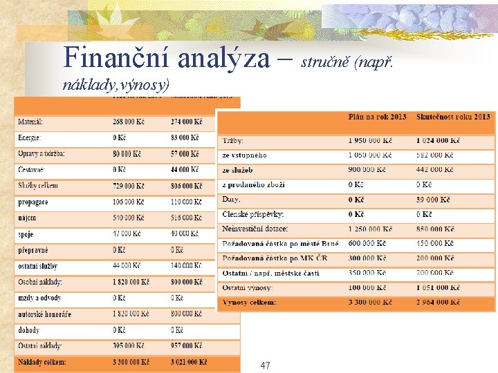 Finanční analýza – stručně (např. náklady, výnosy) 47 