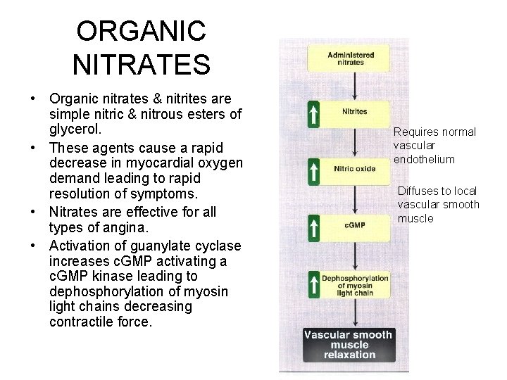 ORGANIC NITRATES • Organic nitrates & nitrites are simple nitric & nitrous esters of