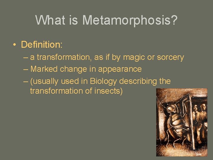 What is Metamorphosis? • Definition: – a transformation, as if by magic or sorcery