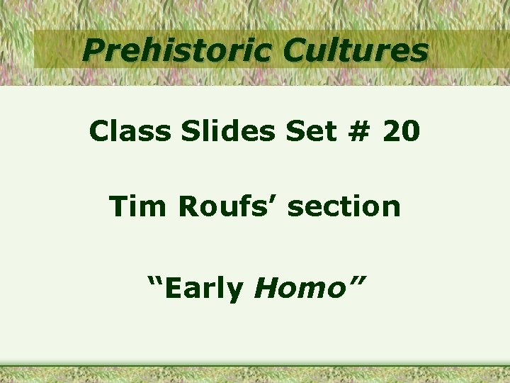 Prehistoric Cultures Class Slides Set # 20 Tim Roufs’ section “Early Homo” 