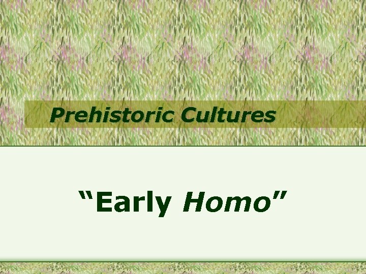 Prehistoric Cultures “Early Homo” 