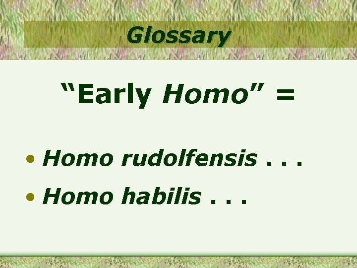 Glossary “Early Homo” = • Homo rudolfensis. . . • Homo habilis. . .