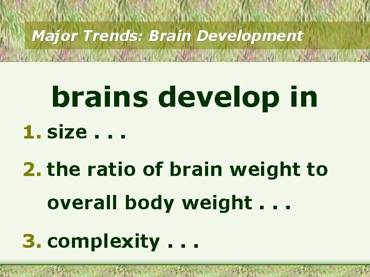 Major Trends: Brain Development brains develop in 1. size. . . 2. the ratio