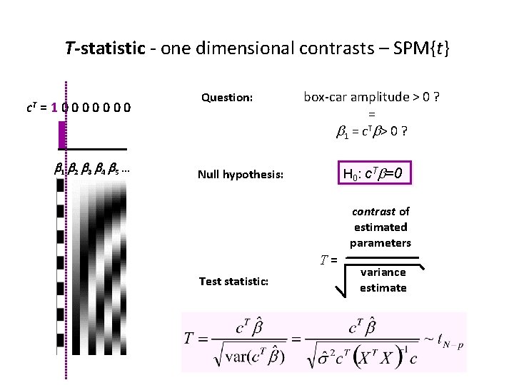 T-statistic - one dimensional contrasts – SPM{t} c. T =10000000 b 1 b 2