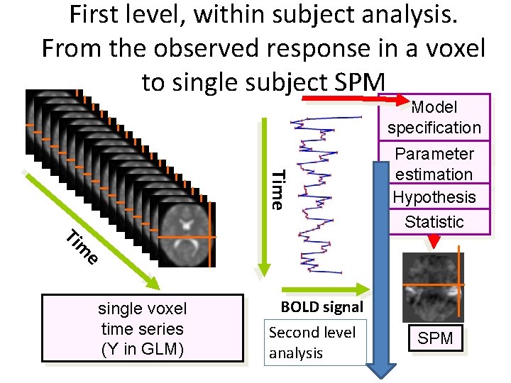 First level, within subject analysis. From the observed response in a voxel to single