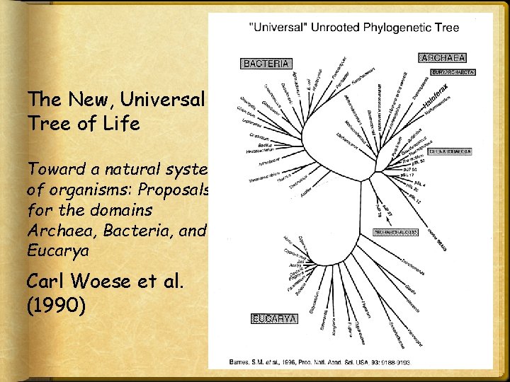 The New, Universal Tree of Life Toward a natural system of organisms: Proposals for