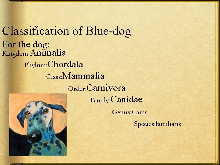 Classification of Blue-dog For the dog: Kingdom: Animalia Phylum: Chordata Class: Mammalia Order: Carnivora
