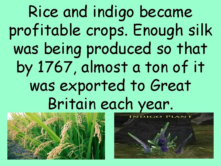 Rice and indigo became profitable crops. Enough silk was being produced so that by