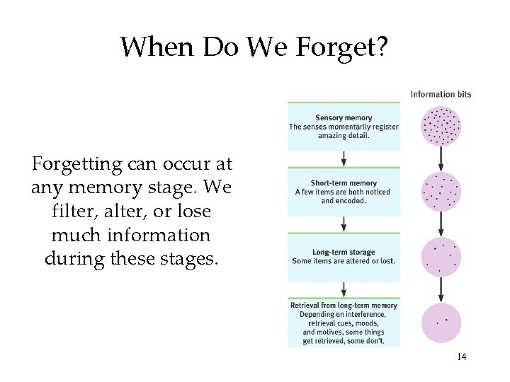 When Do We Forget? Forgetting can occur at any memory stage. We filter, alter,