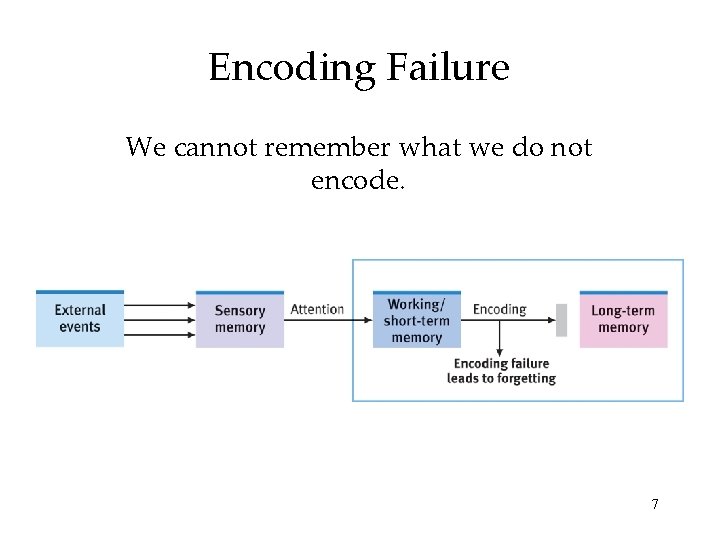 Encoding Failure We cannot remember what we do not encode. 7 