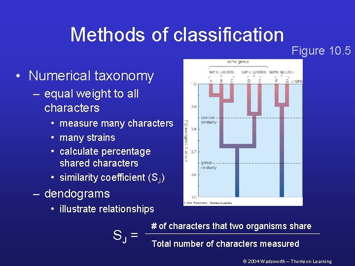 Methods of classification Figure 10. 5 • Numerical taxonomy – equal weight to all