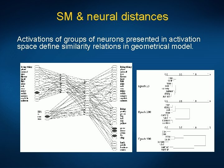 SM & neural distances Activations of groups of neurons presented in activation space define