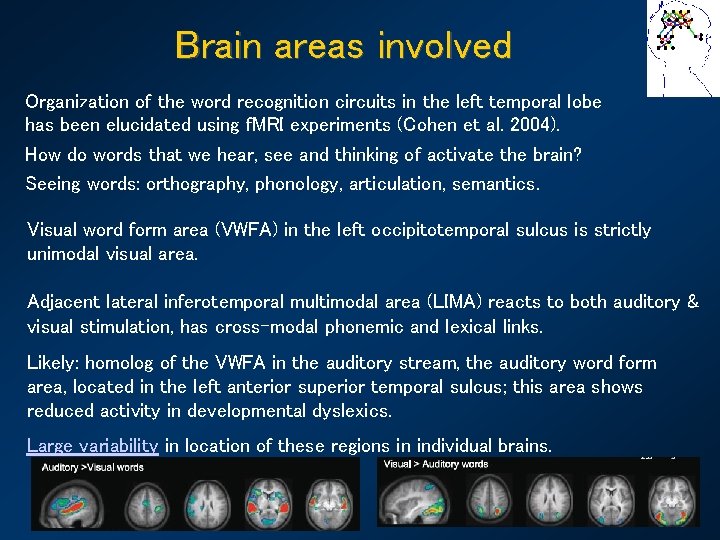 Brain areas involved Organization of the word recognition circuits in the left temporal lobe