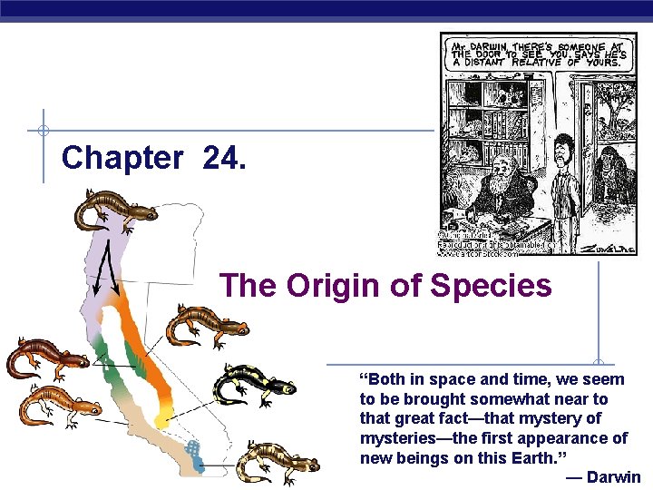 Chapter 24. The Origin of Species AP Biology “Both in space and time, we