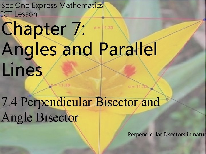 Sec One Express Mathematics ICT Lesson Chapter 7: Angles and Parallel Lines 7. 4