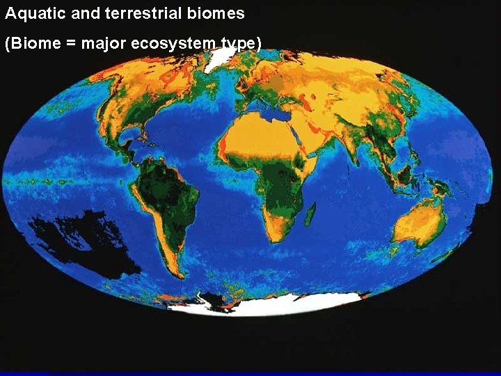 Aquatic and terrestrial biomes (Biome = major ecosystem type) 