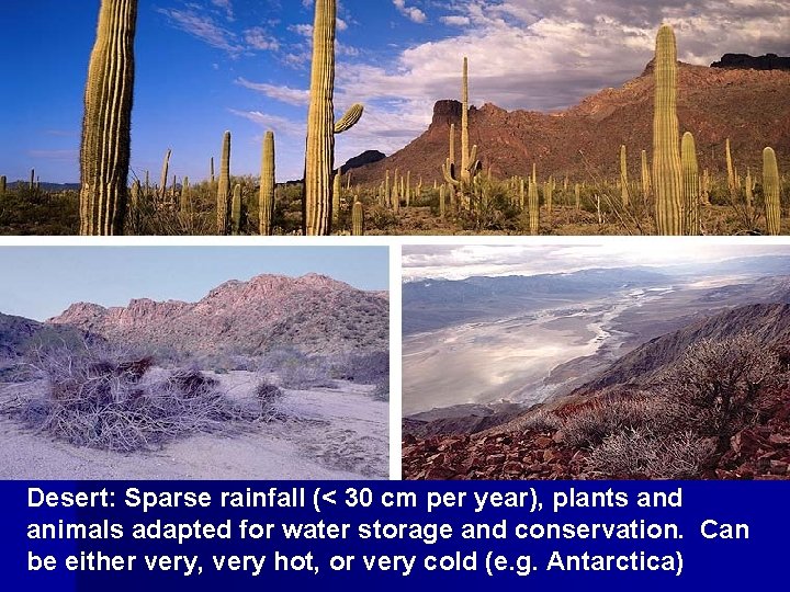 Desert: Sparse rainfall (< 30 cm per year), plants and animals adapted for water