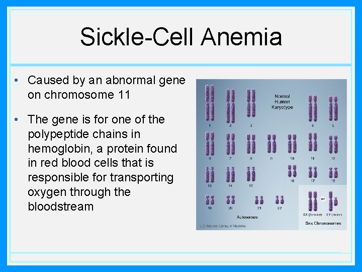 Sickle-Cell Anemia • Caused by an abnormal gene on chromosome 11 • The gene