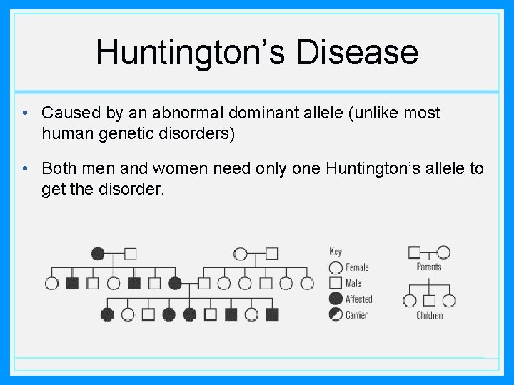 Huntington’s Disease • Caused by an abnormal dominant allele (unlike most human genetic disorders)