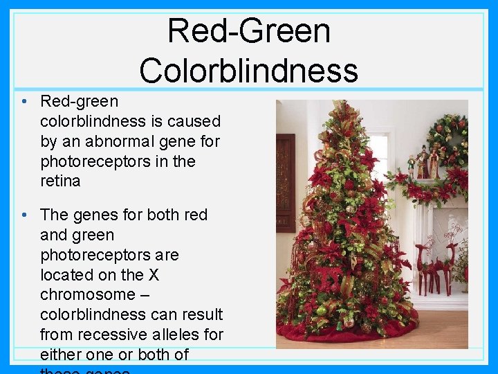 Red-Green Colorblindness • Red-green colorblindness is caused by an abnormal gene for photoreceptors in