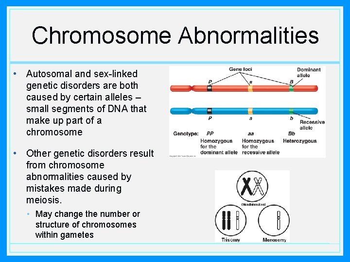 Chromosome Abnormalities • Autosomal and sex-linked genetic disorders are both caused by certain alleles