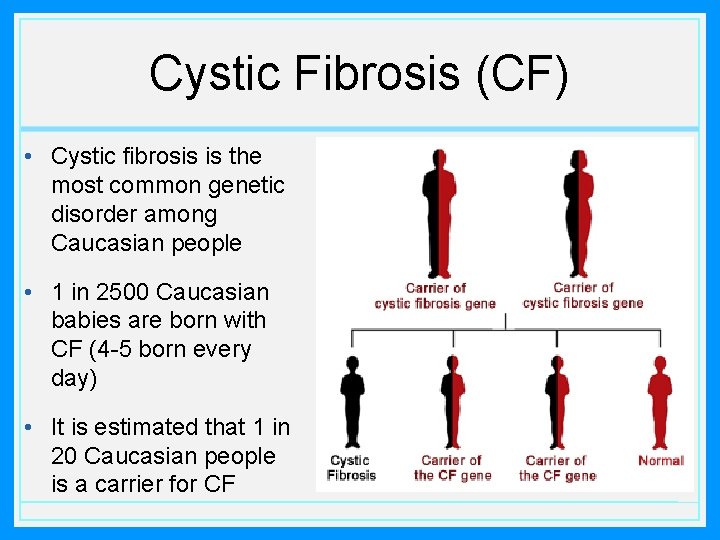 Cystic Fibrosis (CF) • Cystic fibrosis is the most common genetic disorder among Caucasian