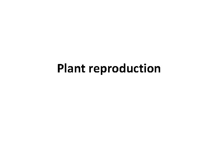 Plant reproduction 