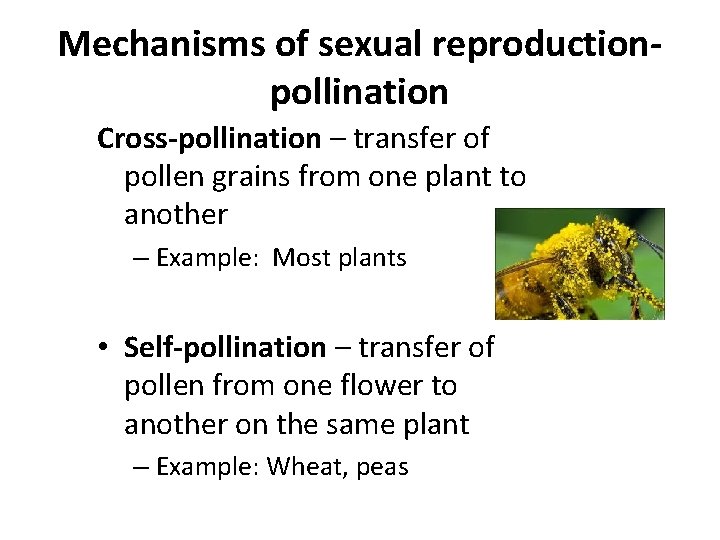 Mechanisms of sexual reproductionpollination Cross-pollination – transfer of pollen grains from one plant to