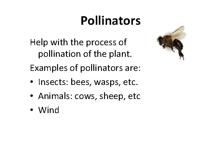 Pollinators Help with the process of pollination of the plant. Examples of pollinators are: