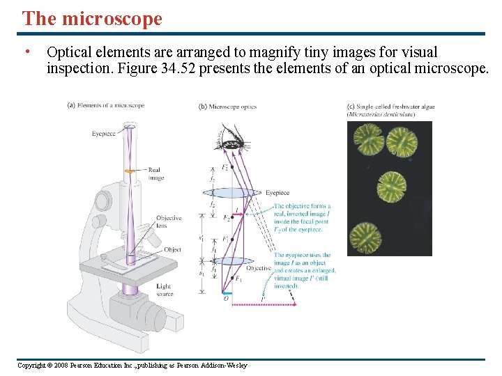 The microscope • Optical elements are arranged to magnify tiny images for visual inspection.