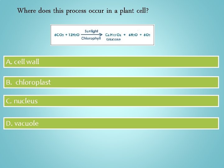 Where does this process occur in a plant cell? A. cell wall B. chloroplast